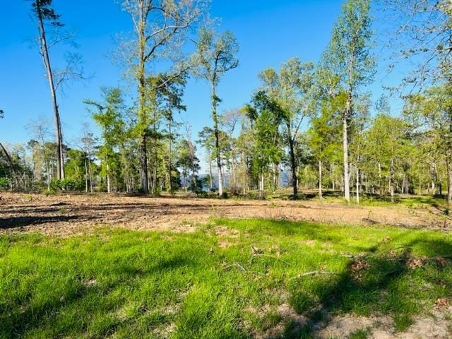 859 Nine Mile Rd, Milam TX, 75959 land for sale