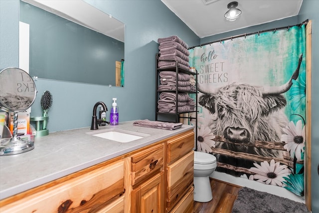 bathroom with a shower with shower curtain, hardwood / wood-style floors, vanity, and toilet