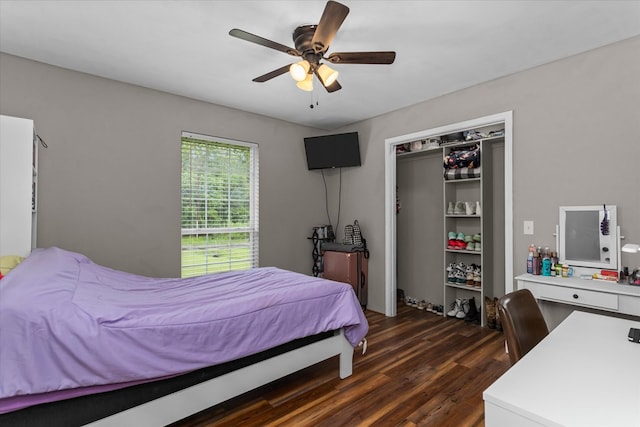 bedroom featuring ceiling fan, dark hardwood / wood-style flooring, and a closet