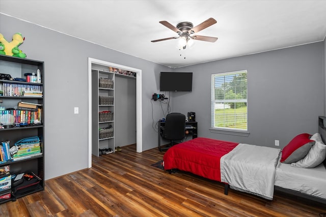 bedroom with dark hardwood / wood-style flooring, a closet, and ceiling fan