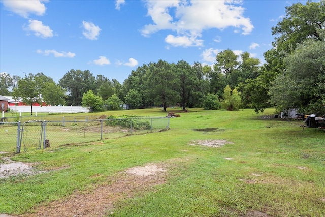 view of yard with a rural view