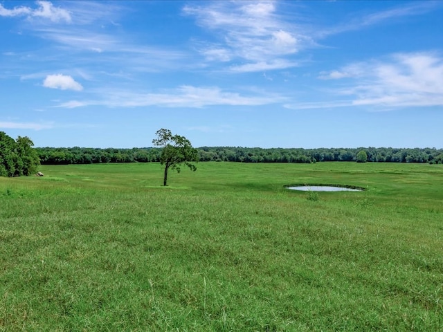 view of yard with a rural view