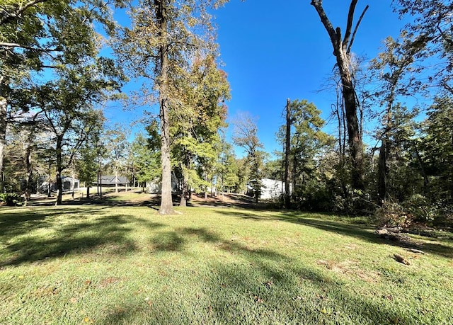 670 Cedar Crest Cir, Hemphill, TX 75948 - view of grassy yard