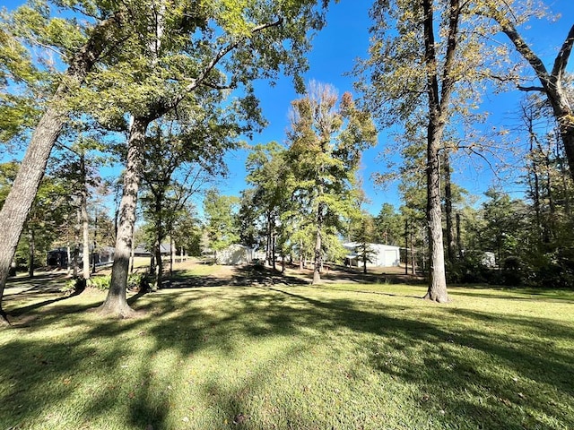 670 Cedar Crest Cir, Hemphill, TX 75948 - view of green lawn