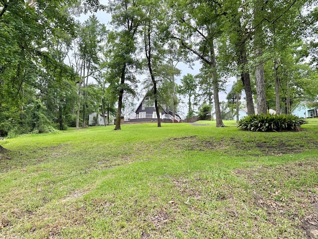 670 Cedar Crest Cir, Hemphill, TX 75948 - view of yard