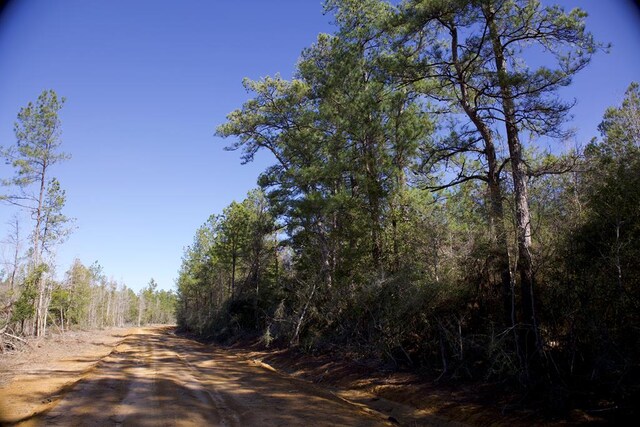 28125LOT31 Fm 705, Broaddus, TX 75929