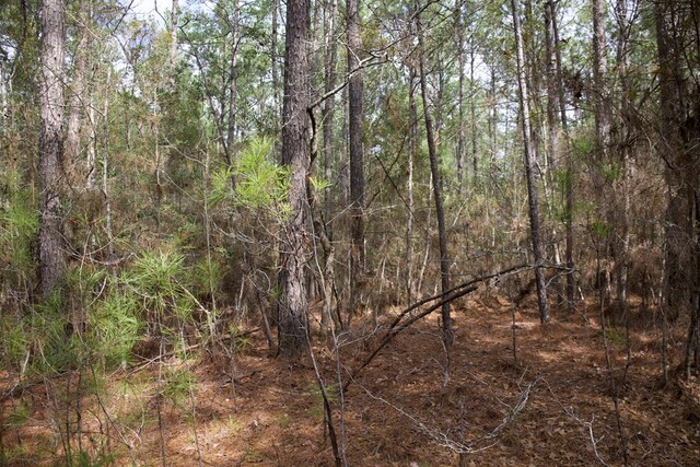 28125LOT31 Fm 705, Broaddus, TX 75929