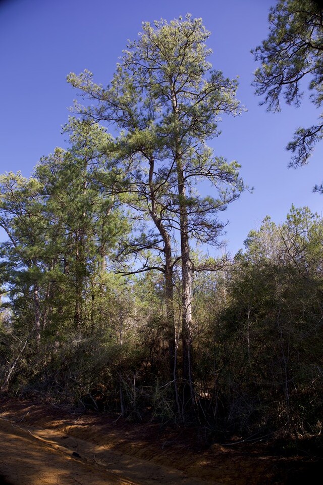 28125LOT31 Fm 705, Broaddus, TX 75929