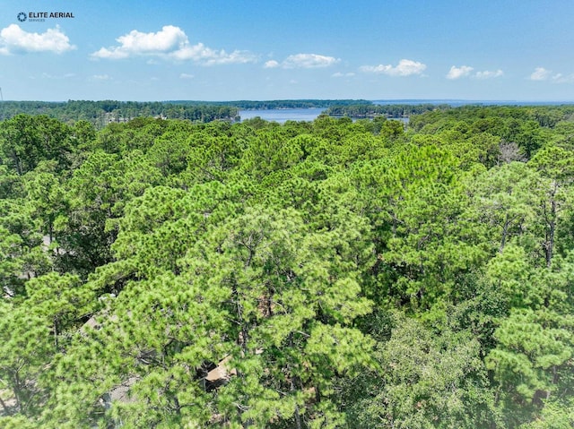 254 Senita Dr, Brookeland TX, 75931 land for sale