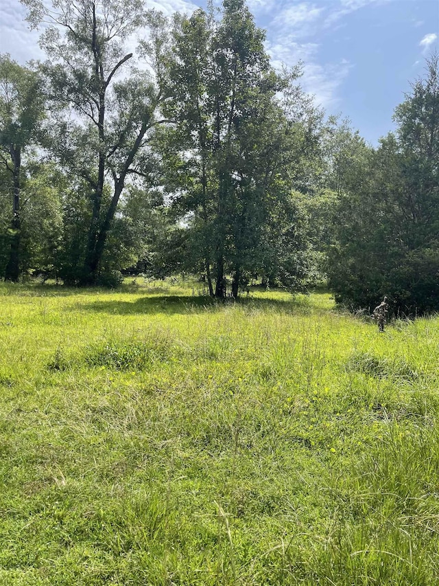 7522 Fm 2246, Buna TX, 77612 land for sale