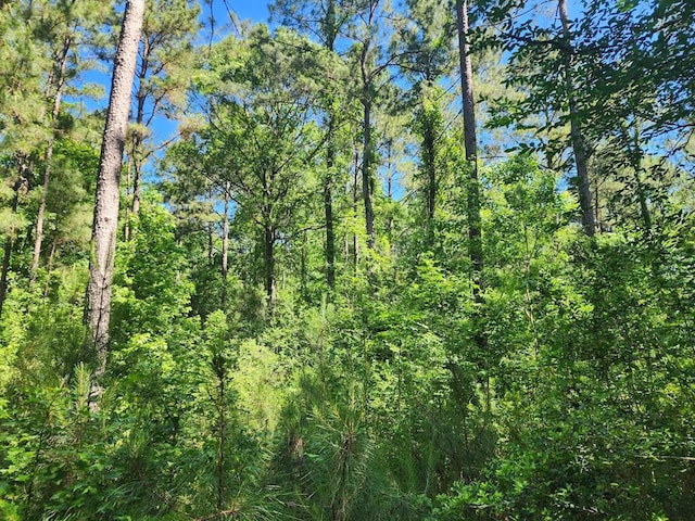 LOT2 3ACRES Cypress Knl, Huntington, TX 75949