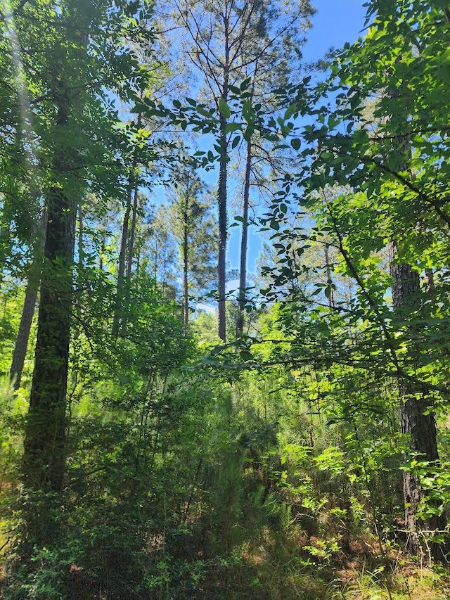 LOT2 3ACRES Cypress Knl, Huntington, TX 75949