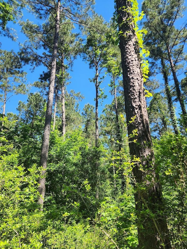 LOT2 3ACRES Cypress Knl, Huntington, TX 75949