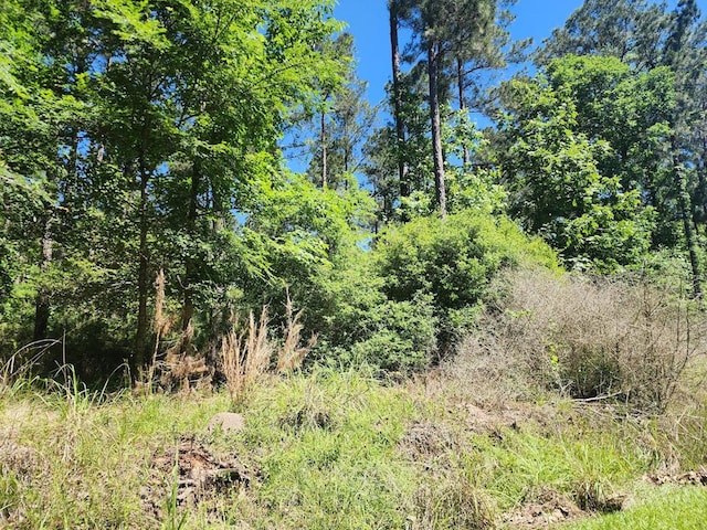 LOT2 3ACRES Cypress Knl, Huntington, TX 75949