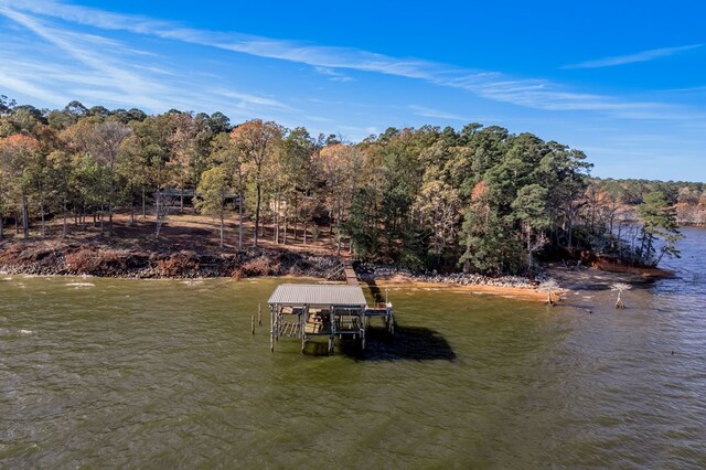 1500 New Haven Rd, Hemphill, TX 75948 - view of dock featuring a water view