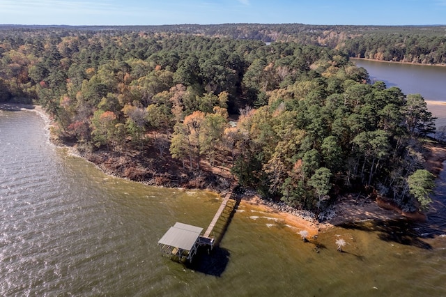 1500 New Haven Rd, Hemphill, TX 75948 - drone / aerial view with a water view