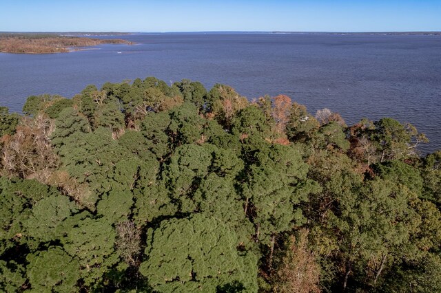 1500 New Haven Rd, Hemphill, TX 75948 - drone / aerial view featuring a water view