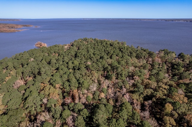 1500 New Haven Rd, Hemphill, TX 75948 - drone / aerial view with a water view