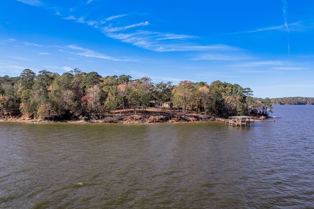 1500 New Haven Rd, Hemphill, TX 75948 - view of water feature