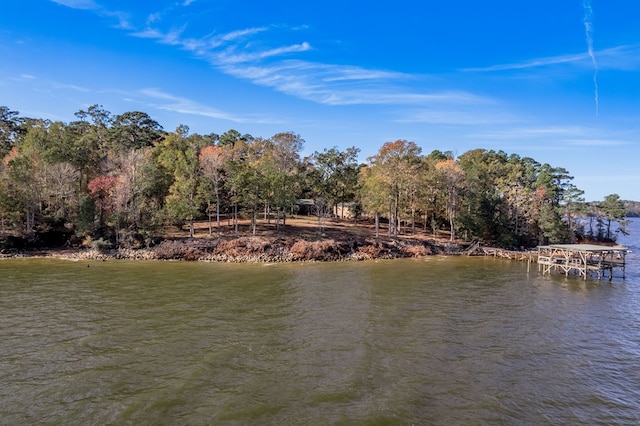 1500 New Haven Rd, Hemphill, TX 75948 - water view