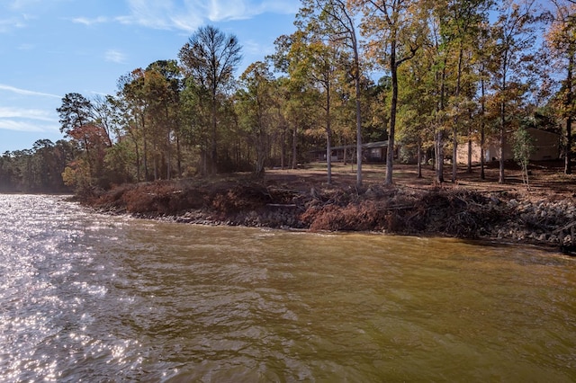1500 New Haven Rd, Hemphill, TX 75948 - exterior space featuring a water view