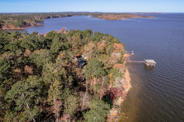 1500 New Haven Rd, Hemphill, TX 75948 - drone / aerial view with a water view