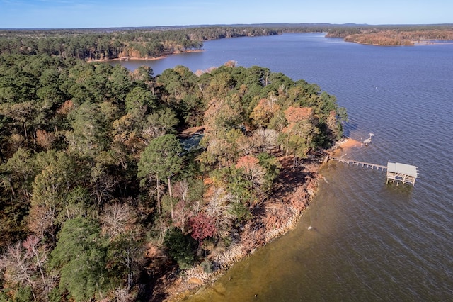 1500 New Haven Rd, Hemphill, TX 75948 - aerial view featuring a water view