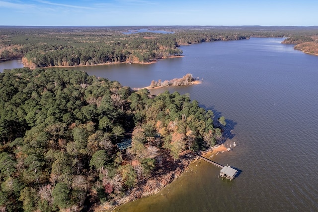 1500 New Haven Rd, Hemphill, TX 75948 - aerial view featuring a water view