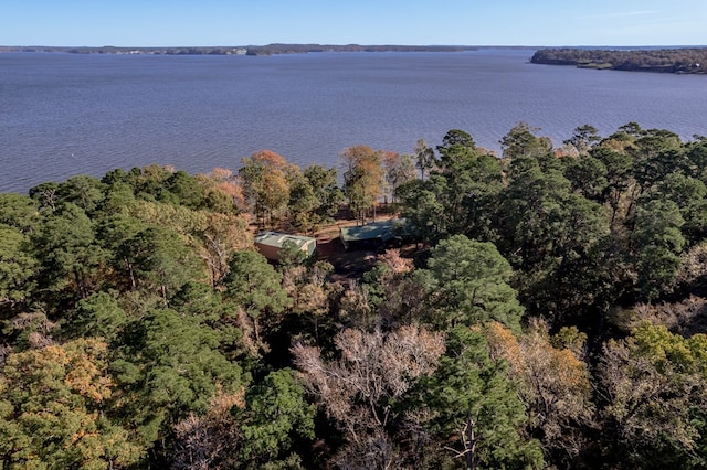 1500 New Haven Rd, Hemphill, TX 75948 - drone / aerial view with a water view
