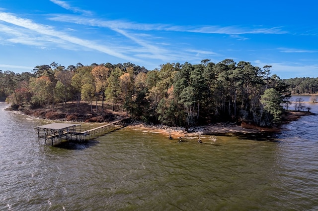 1500 New Haven Rd, Hemphill, TX 75948 - water view