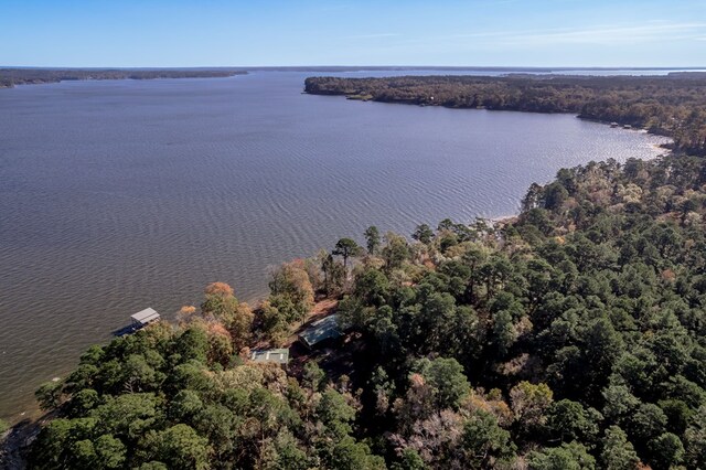 1500 New Haven Rd, Hemphill, TX 75948 - bird's eye view featuring a water view
