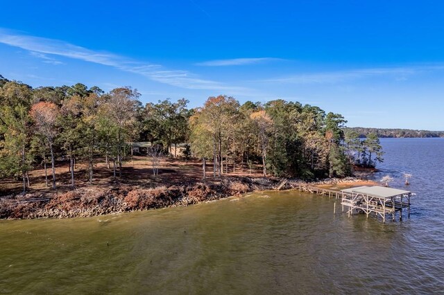 view of water feature with a dock