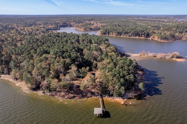 1500 New Haven Rd, Hemphill, TX 75948 - aerial view with a water view