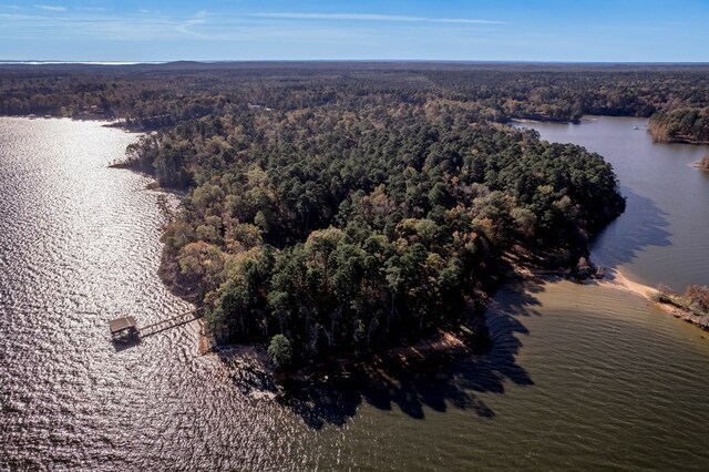 1500 New Haven Rd, Hemphill, TX 75948 - aerial view with a water view
