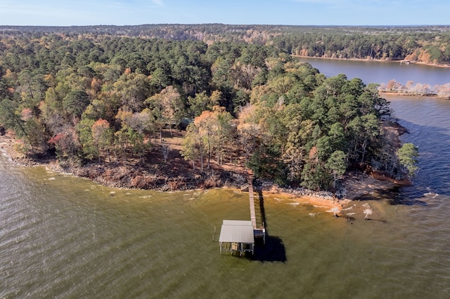 1500 New Haven Rd, Hemphill, TX 75948 - bird's eye view featuring a water view