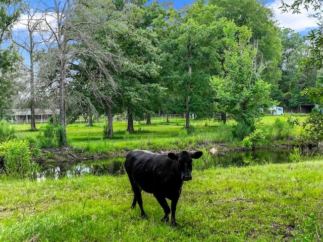 view of property's community with a water view