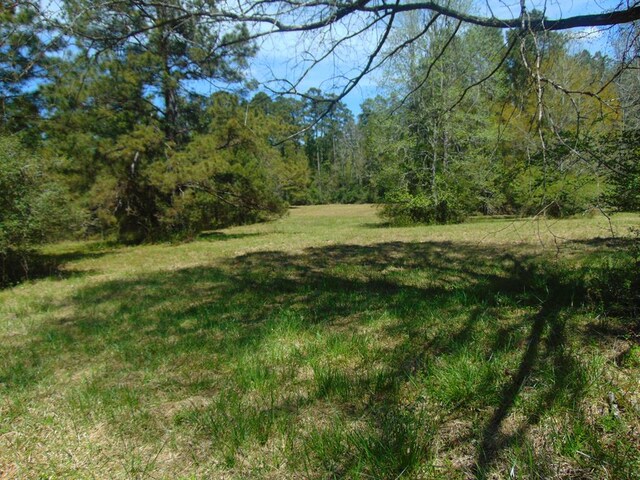 3389 US Highway 287, Groveton, TX 75845 - photo 12