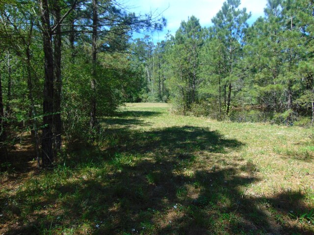 3389 US Highway 287, Groveton, TX 75845 - photo 8