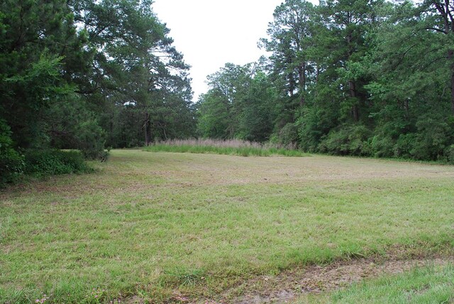 3389 US Highway 287, Groveton, TX 75845 - photo 7