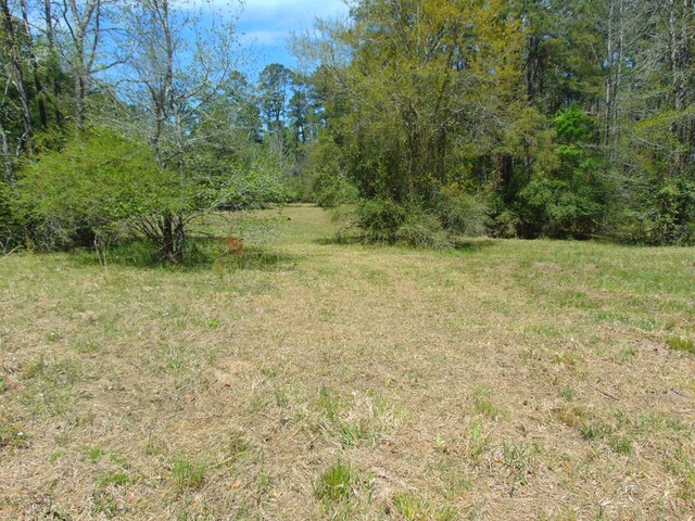 3389 US Highway 287, Groveton, TX 75845 - photo 15