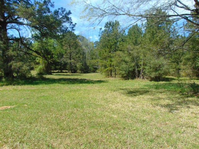 3389 US Highway 287, Groveton, TX 75845 - photo 16