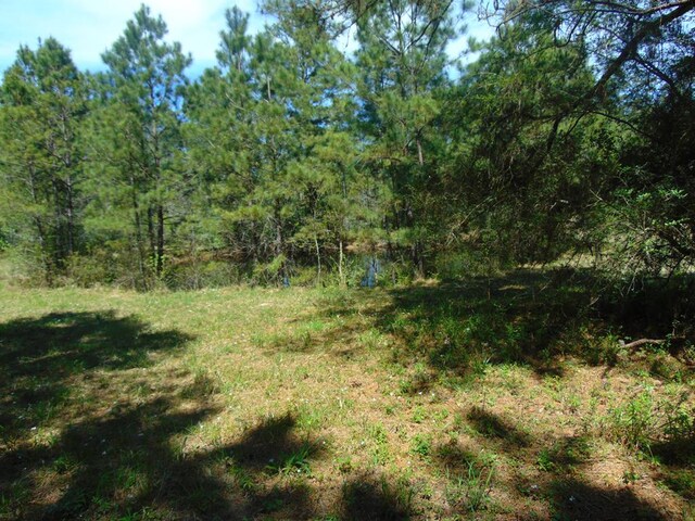 3389 US Highway 287, Groveton, TX 75845 - photo 9