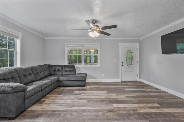 living room featuring hardwood / wood-style floors, ornamental molding, a textured ceiling, and ceiling fan