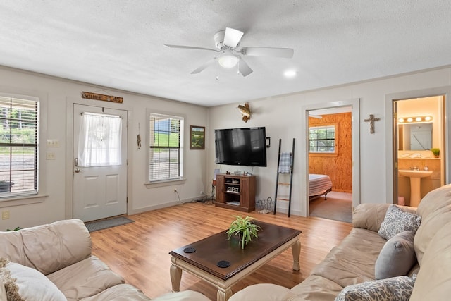 264 Wildbriar Dr, Jasper, TX 75951 - living room with a textured ceiling, healthy amount of natural light, ceiling fan, and light wood finished floors