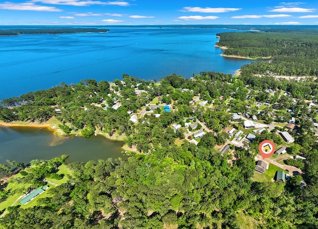 264 Wildbriar Dr, Jasper, TX 75951 - aerial overview of property's location with a nearby body of water and a forest