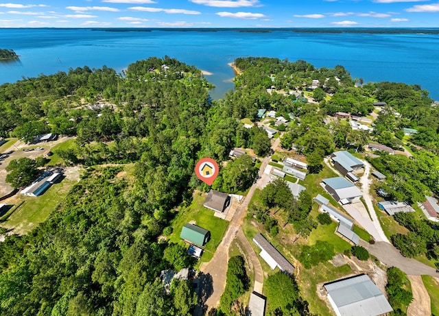 264 Wildbriar Dr, Jasper, TX 75951 - aerial overview of property's location with a large body of water