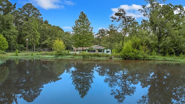 130 Hartje Ln, Pineland, TX 75968 - photo 36