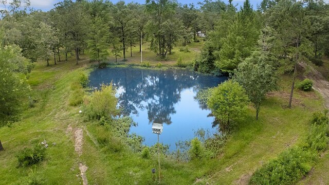 130 Hartje Ln, Pineland, TX 75968 - photo 31