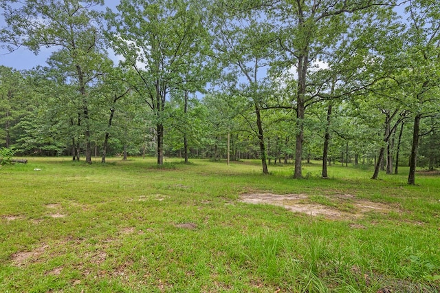 130 Hartje Ln, Pineland, TX 75968 - photo 29