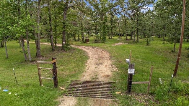 130 Hartje Ln, Pineland, TX 75968 - photo 35